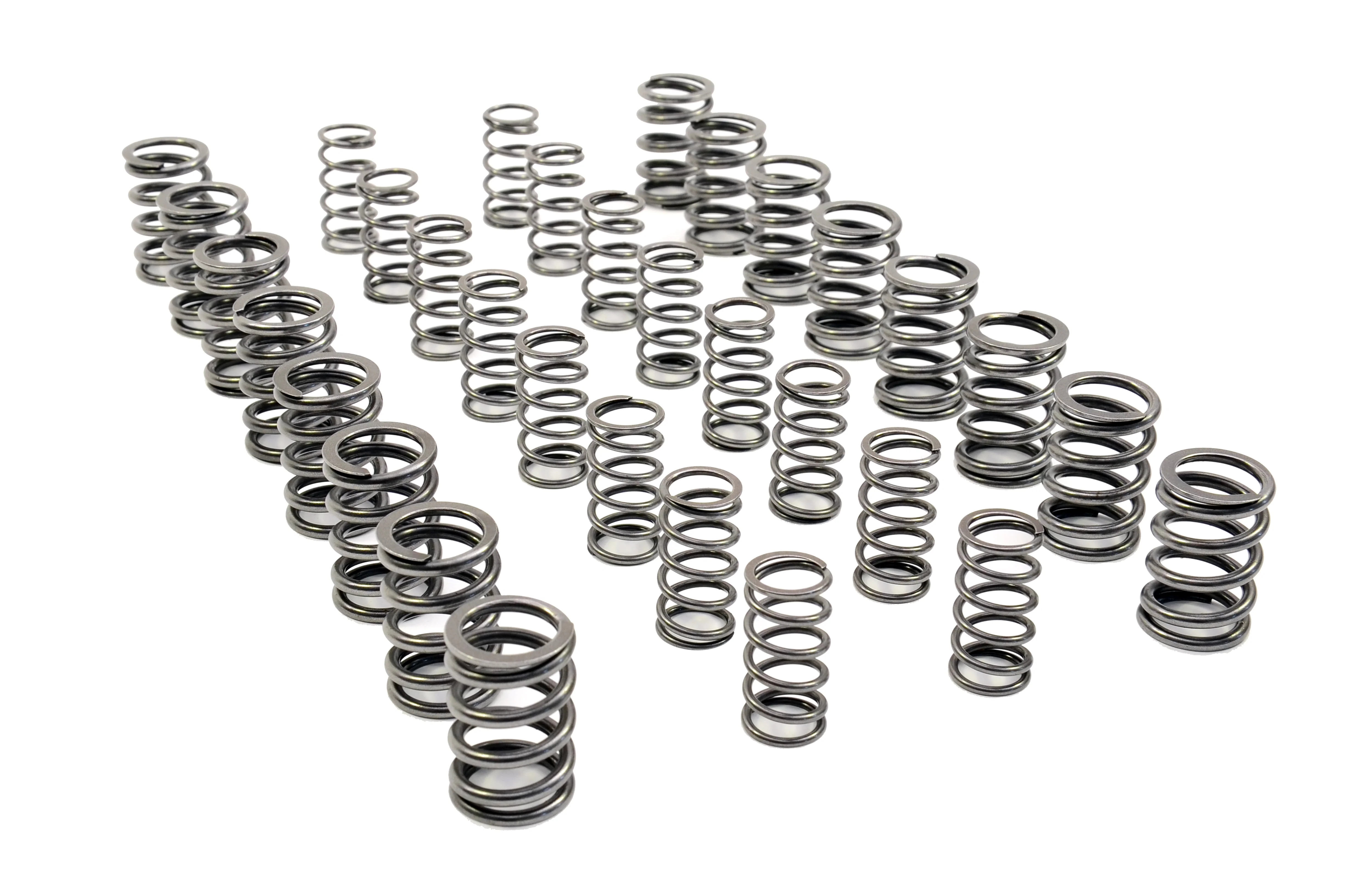 RCM Double Valve Spring Set - Image 3