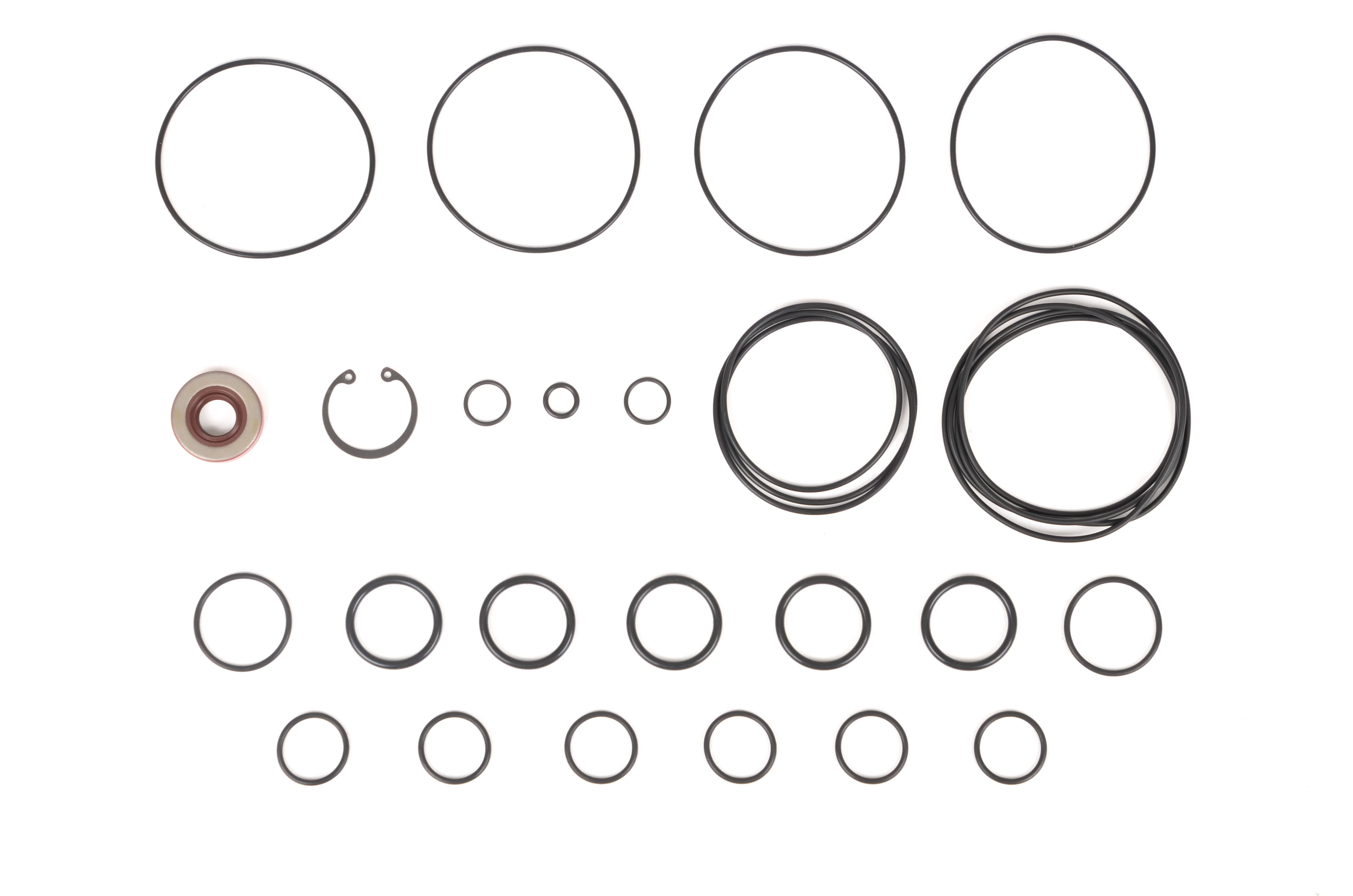RCM Dry Sump Pump Complete O Ring Seal & Circlip Kit - Image 2